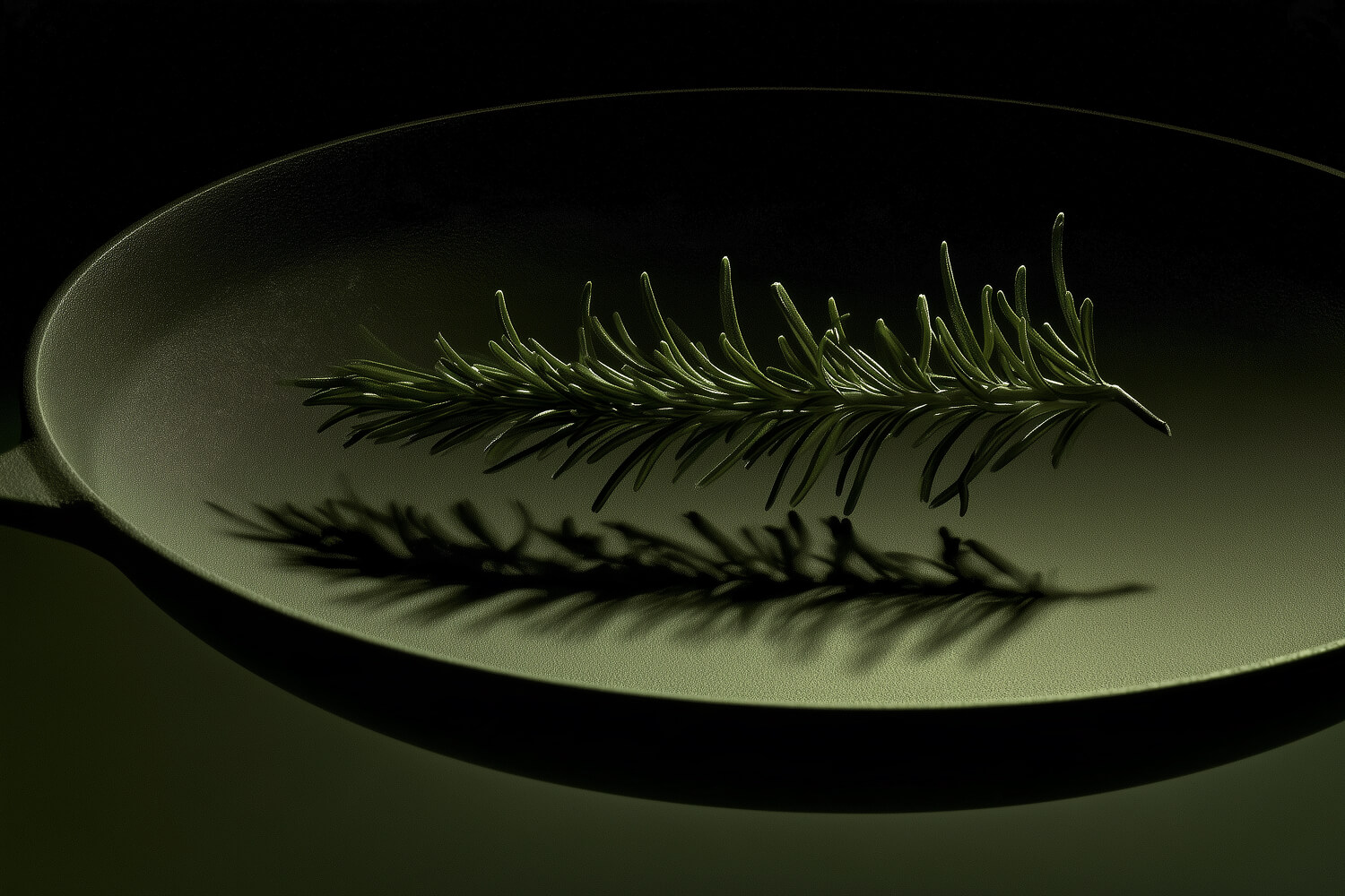 Sprig of rosemary casting its shadow across a dark green pan