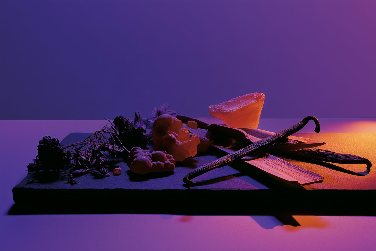 Dried flowers, vanilla pods and raw ingredients on a slate in violet light